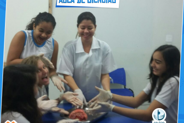 Aula prática de Ciências