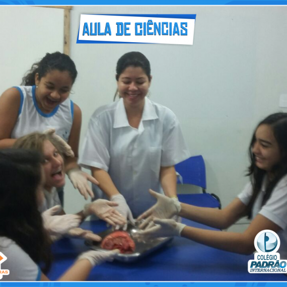 Aula prática de Ciências