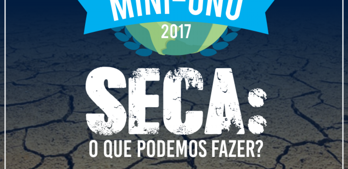 Mini-Onu 2017