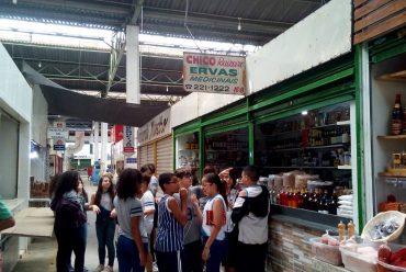 Jornada Científica 2017 – Biomas Brasileiros: Cerrado – 6º ano