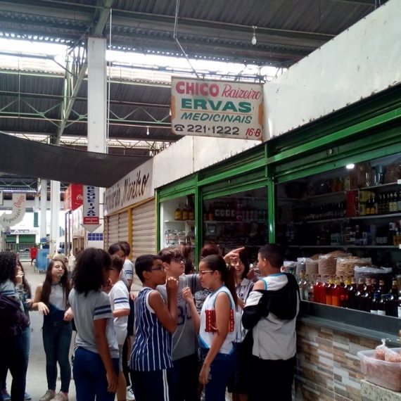 Jornada Científica 2017 – Biomas Brasileiros: Cerrado – 6º ano