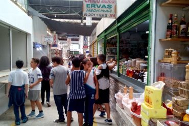 Jornada Científica 2017 – Biomas Brasileiros: Cerrado – 6º ano