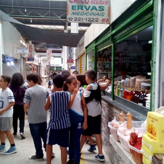 Jornada Científica 2017 – Biomas Brasileiros: Cerrado – 6º ano