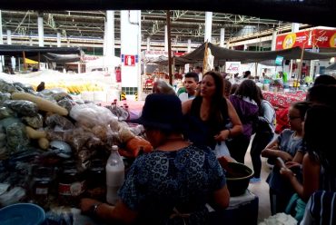 Jornada Científica 2017 – Biomas Brasileiros: Cerrado – 6º ano