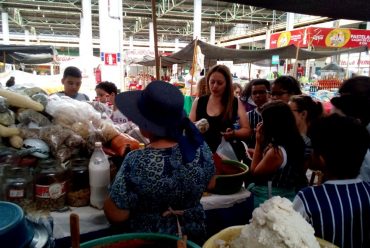 Jornada Científica 2017 – Biomas Brasileiros: Cerrado – 6º ano