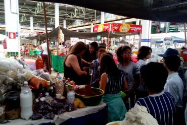 Jornada Científica 2017 – Biomas Brasileiros: Cerrado – 6º ano