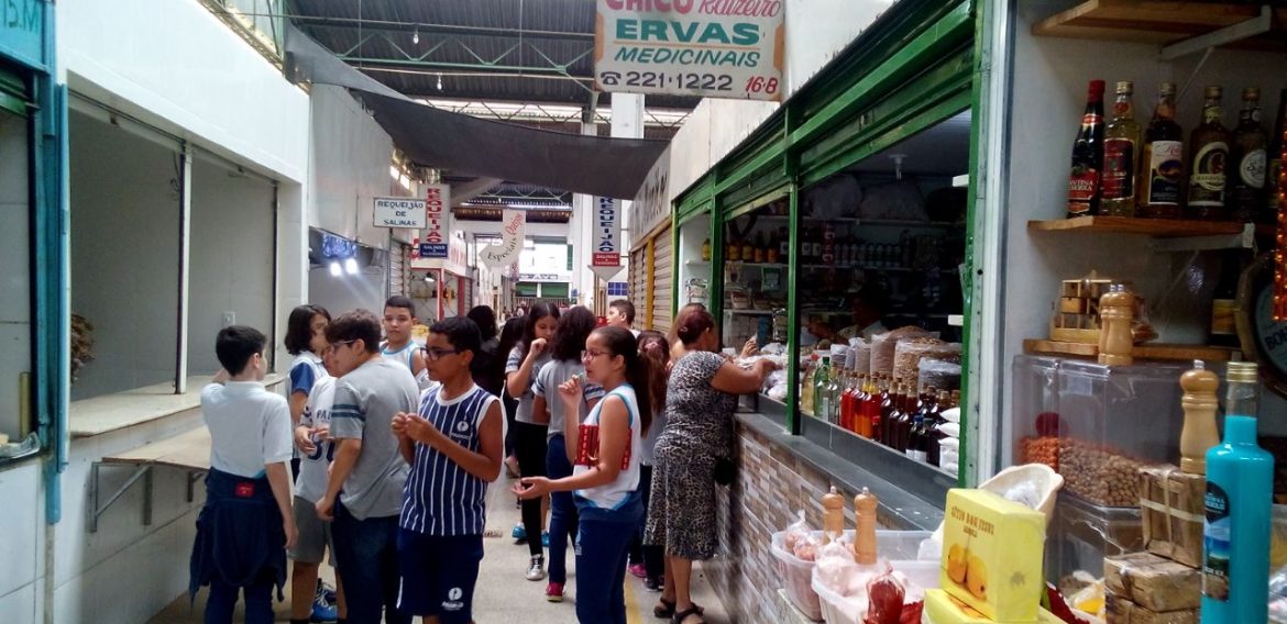 Jornada Científica 2017 – Biomas Brasileiros: Cerrado – 6º ano