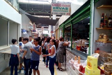 Jornada Científica 2017 – Biomas Brasileiros: Cerrado – 6º ano