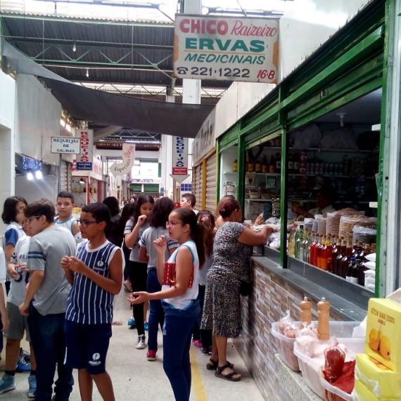 Jornada Científica 2017 – Biomas Brasileiros: Cerrado – 6º ano