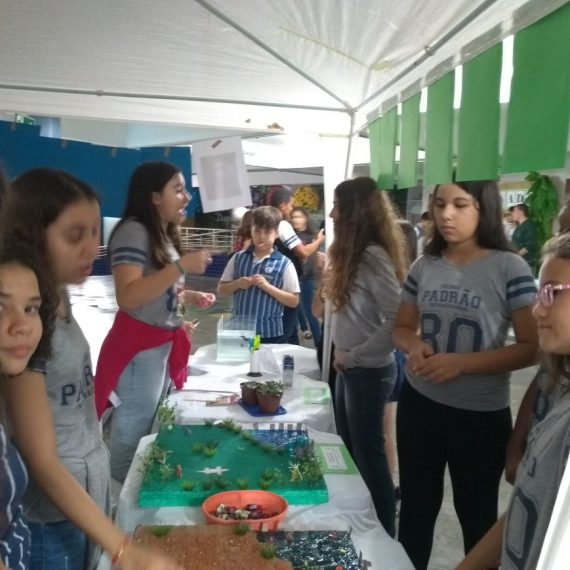 Jornada Científica 2017 – Biomas Brasileiros: Mata Atlântica – 7º Ano