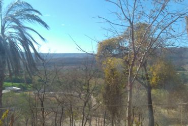 Jornada Científica 2017 – Biomas Brasileiros: Mata Atlântica – 7º Ano