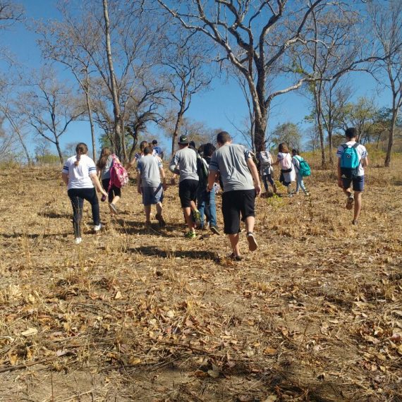 Jornada Científica 2017 – Biomas Brasileiros: Mata Atlântica – 7º Ano