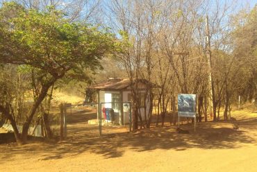 Jornada Científica 2017 – Biomas Brasileiros: Mata Atlântica – 7º Ano