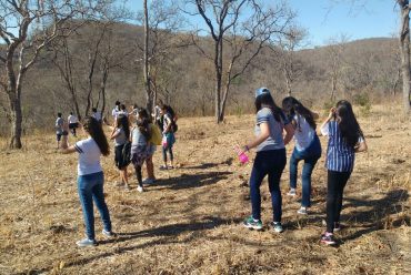 Jornada Científica 2017 – Biomas Brasileiros: Mata Atlântica – 7º Ano