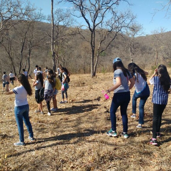 Jornada Científica 2017 – Biomas Brasileiros: Mata Atlântica – 7º Ano