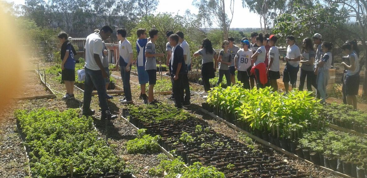 Jornada Científica 2017 – Biomas Brasileiros: Floresta Amazônica – 8º Ano