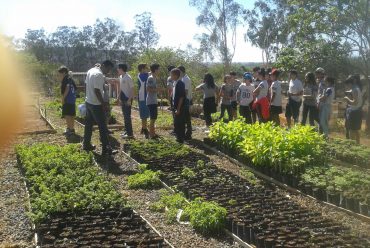 Jornada Científica 2017 – Biomas Brasileiros: Floresta Amazônica – 8º Ano