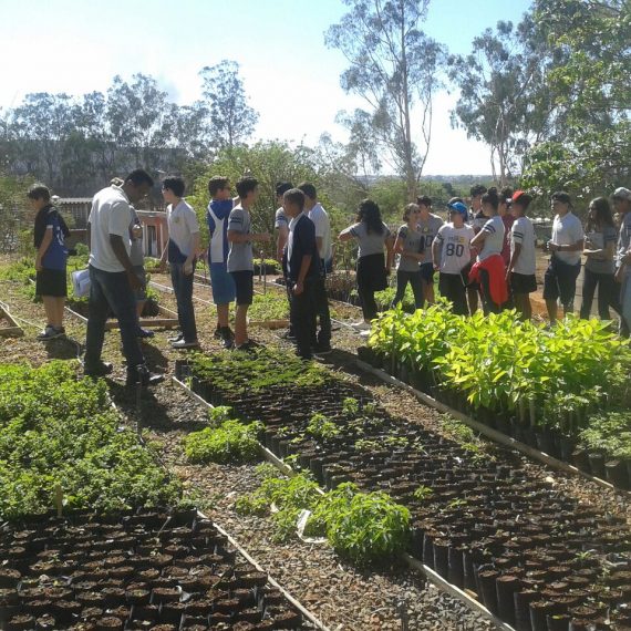 Jornada Científica 2017 – Biomas Brasileiros: Floresta Amazônica – 8º Ano
