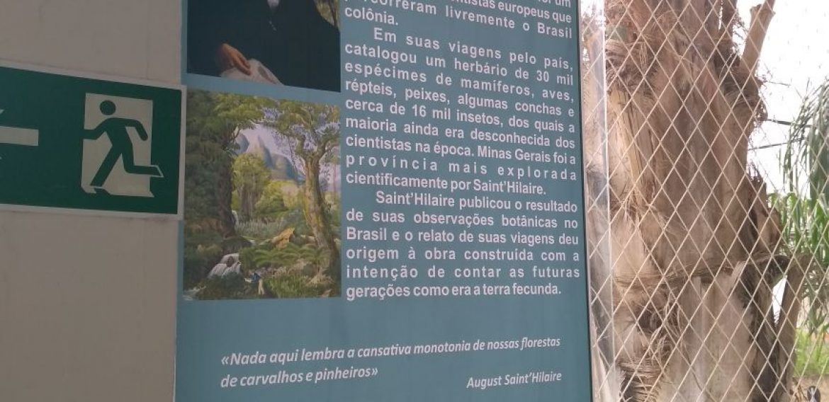 Jornada Científica 2017 – Biomas Brasileiros: Floresta Amazônica – 8º Ano