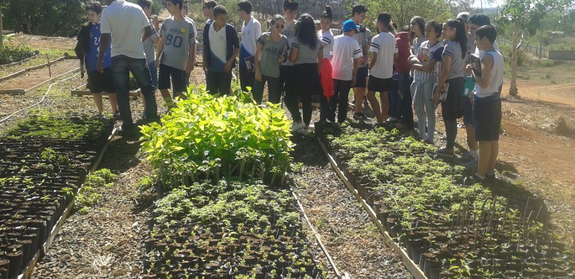 Jornada Científica 2017 – Biomas Brasileiros: Floresta Amazônica – 8º Ano