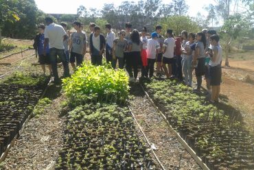 Jornada Científica 2017 – Biomas Brasileiros: Floresta Amazônica – 8º Ano