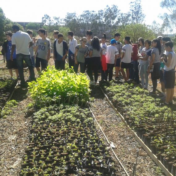 Jornada Científica 2017 – Biomas Brasileiros: Floresta Amazônica – 8º Ano
