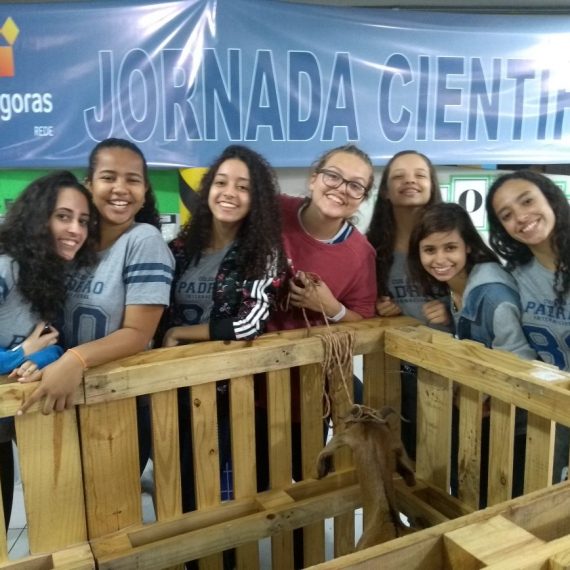 Jornada Científica 2017 – Biomas Brasileiros: Caatinga – 9º ano