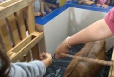 Jornada Científica 2017 – Biomas Brasileiros: Caatinga – 9º ano