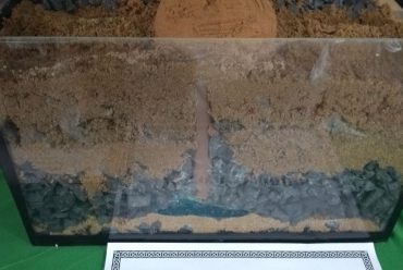 Jornada Científica 2017 – Biomas Brasileiros: Caatinga – 9º ano