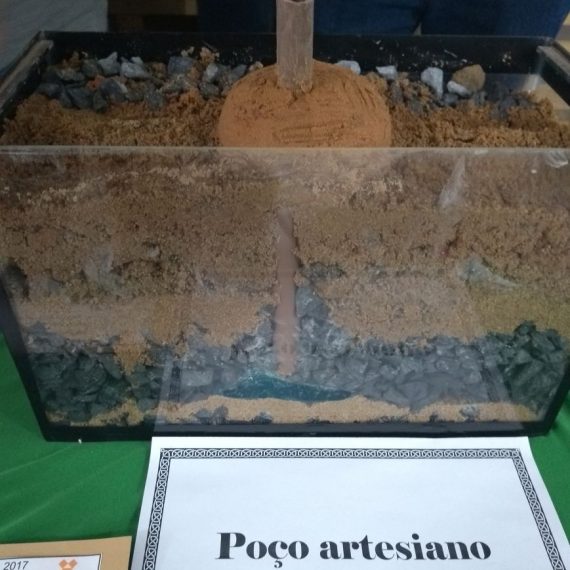 Jornada Científica 2017 – Biomas Brasileiros: Caatinga – 9º ano