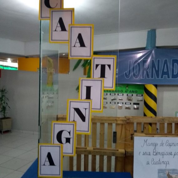 Jornada Científica 2017 – Biomas Brasileiros: Caatinga – 9º ano