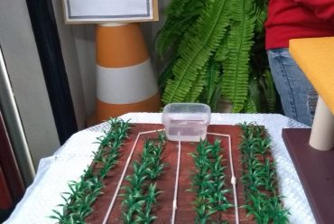Jornada Científica 2017 – Biomas Brasileiros: Caatinga – 9º ano