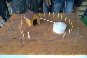 Jornada Científica 2017 – Biomas Brasileiros: Caatinga – 9º ano