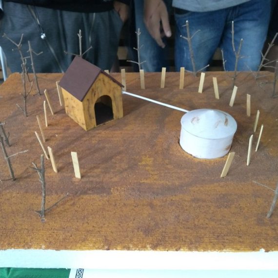 Jornada Científica 2017 – Biomas Brasileiros: Caatinga – 9º ano