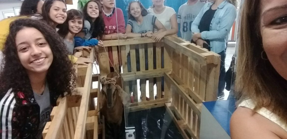 Jornada Científica 2017 – Biomas Brasileiros: Caatinga – 9º ano
