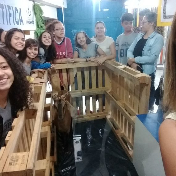 Jornada Científica 2017 – Biomas Brasileiros: Caatinga – 9º ano