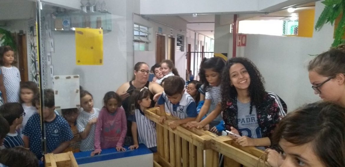 Jornada Científica 2017 – Biomas Brasileiros: Caatinga – 9º ano