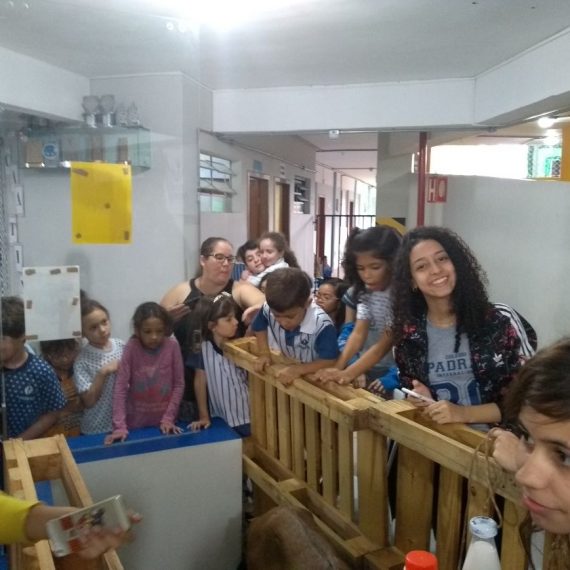 Jornada Científica 2017 – Biomas Brasileiros: Caatinga – 9º ano