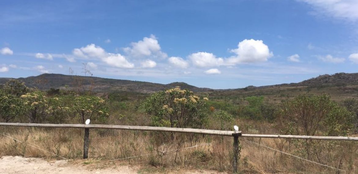 Jornada Científica 2017 – Biomas Brasileiros: Caatinga – 9º ano