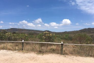 Jornada Científica 2017 – Biomas Brasileiros: Caatinga – 9º ano
