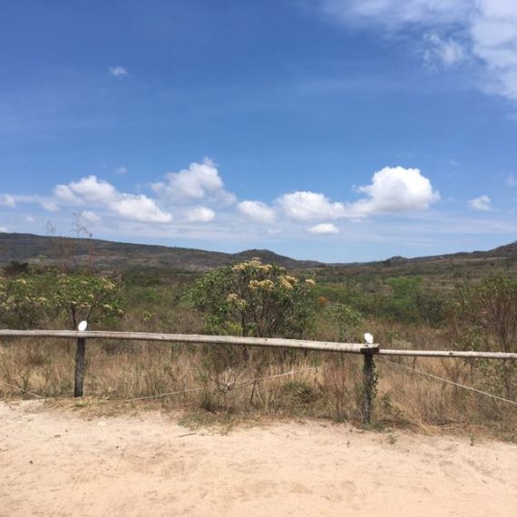 Jornada Científica 2017 – Biomas Brasileiros: Caatinga – 9º ano