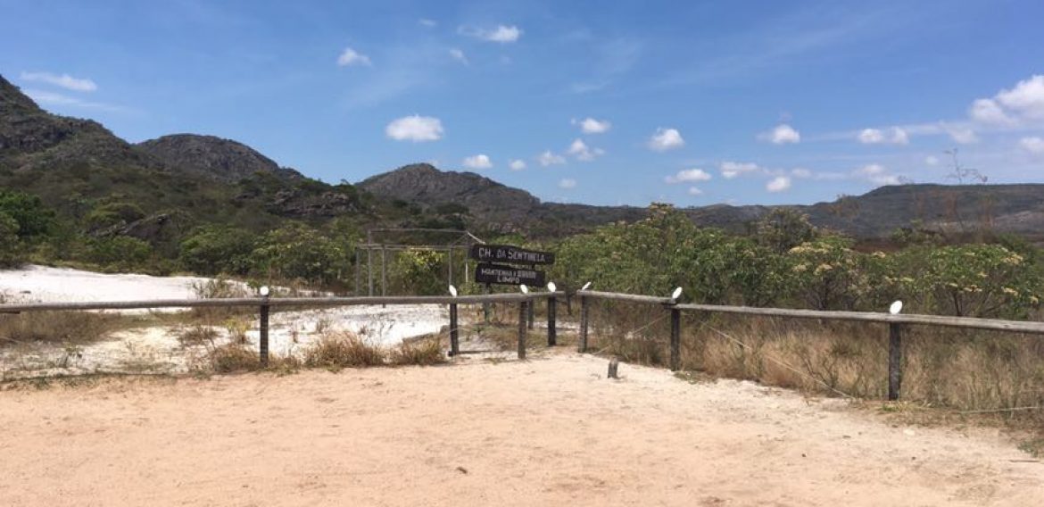 Jornada Científica 2017 – Biomas Brasileiros: Caatinga – 9º ano