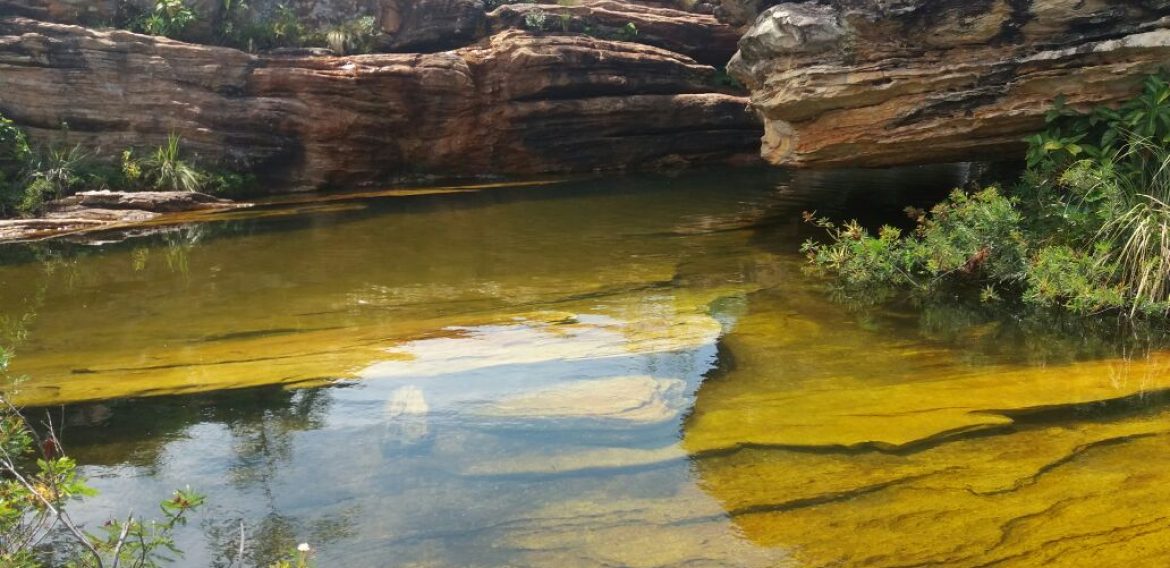 Jornada Científica 2017 – Biomas Brasileiros: Caatinga – 9º ano