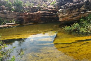 Jornada Científica 2017 – Biomas Brasileiros: Caatinga – 9º ano