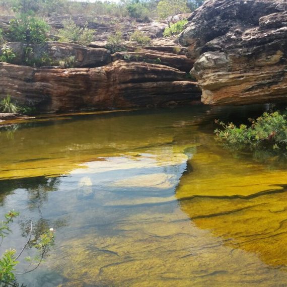 Jornada Científica 2017 – Biomas Brasileiros: Caatinga – 9º ano