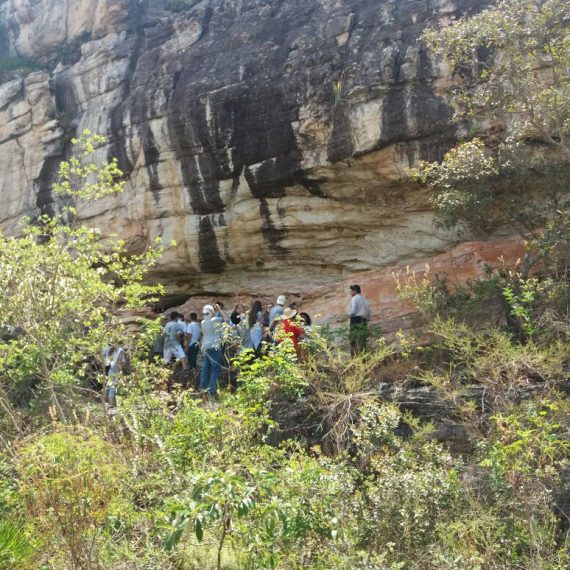 Jornada Científica 2017 – Biomas Brasileiros: Caatinga – 9º ano