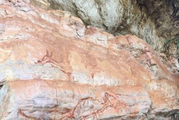 Jornada Científica 2017 – Biomas Brasileiros: Caatinga – 9º ano