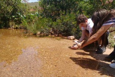 Jornada Científica 2017 – Biomas Brasileiros: Caatinga – 9º ano