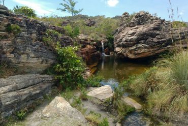 Jornada Científica 2017 – Biomas Brasileiros: Caatinga – 9º ano