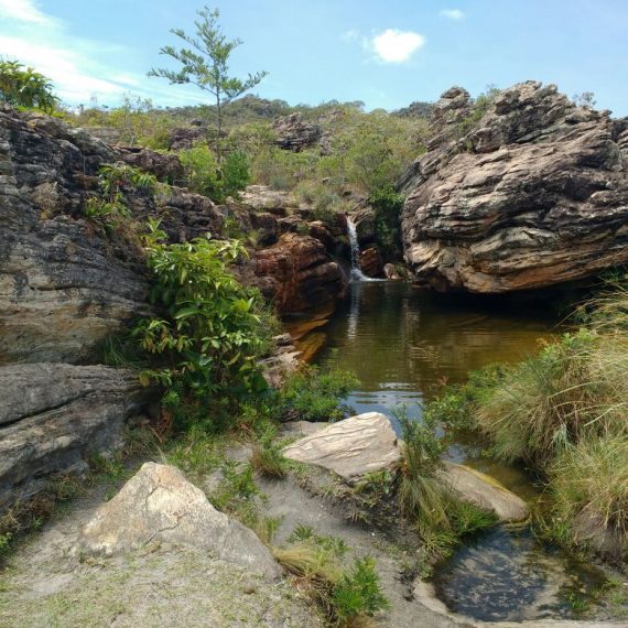 Jornada Científica 2017 – Biomas Brasileiros: Caatinga – 9º ano